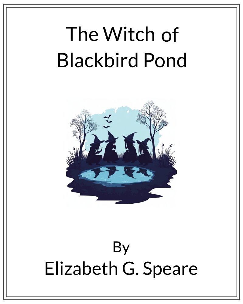 Cover image for Witch of Blackbird Pond, The